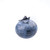 Pokepalp :iconpokepalp: