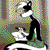 Polecat-Skunk :iconpolecat-skunk: