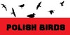 Polish-Birds's avatar