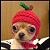 polkagrizen :iconpolkagrizen: