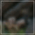 DeviantArt profile picture for @pomme on DeviantArt