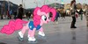 :iconponies-in-real-life: