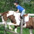 ponysamindy :iconponysamindy: