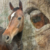 :iconponysharie: