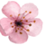 Pop-0f-Color :iconpop-0f-color: