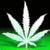 DeviantArt profile picture for @pot on DeviantArt
