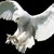 Praiphex :iconpraiphex: