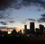 prettypigeon :iconprettypigeon: