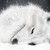 PrincessTallulah :iconprincesstallulah: