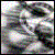DeviantArt profile picture for @Profanity on DeviantArt