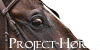 :iconproject-horse: