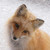 PsyckoStinaMuffin :iconpsyckostinamuffin:
