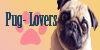 Pug-Lovers's avatar