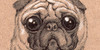 Puggys's avatar