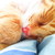 Puppies22401 :iconpuppies22401: