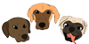 Puppy-Dog-Lovers's avatar