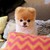 puppydigata :iconpuppydigata: