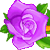 :iconpurplerose1plz: