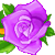 :iconpurplerose6plz: