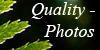 Quality-Photos's avatar