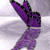 Queen-of-Sneaks :iconqueen-of-sneaks:
