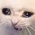 QueenSlothsArt :iconqueenslothsart: