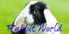 Rabbit-World's avatar