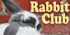 :iconrabbitclub: