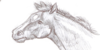 RacehorseHeros's avatar