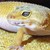 Rachael321123 :iconrachael321123: