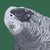 Rachel-bee :iconrachel-bee: