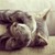 RachelHsu :iconrachelhsu: