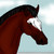 RainbowGraffiti :iconrainbowgraffiti: