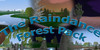 RaindanceForestPack's avatar