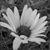 rainycity :iconrainycity: