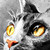 ramdens :iconramdens:
