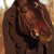 RandolphHobbs :iconrandolphhobbs: