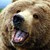Random-Bears - Hobbyist, Traditional Artist | DeviantArt