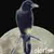 ranunkerle :iconranunkerle: