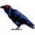 Raven1901 :iconraven1901: