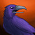 Ravencourse :iconravencourse: