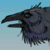 :iconravens-roost: