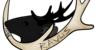 Ravus-ARPG's avatar