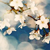 DeviantArt profile picture for @RECOGNIZING on DeviantArt