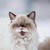 Recycledhero :iconrecycledhero: