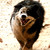 Redd93 :iconredd93: