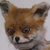 :iconredvulpix009: