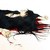 DeviantArt profile picture for @ReFUNdable on DeviantArt