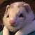 :iconreiganleaf:
