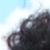 reigningqueenofcurls :iconreigningqueenofcurls: